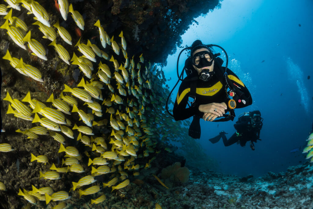 Magic-undersea-of-Corfu